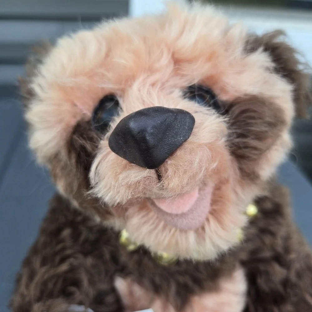 Mare's Bear And More Bear Plush With Bells